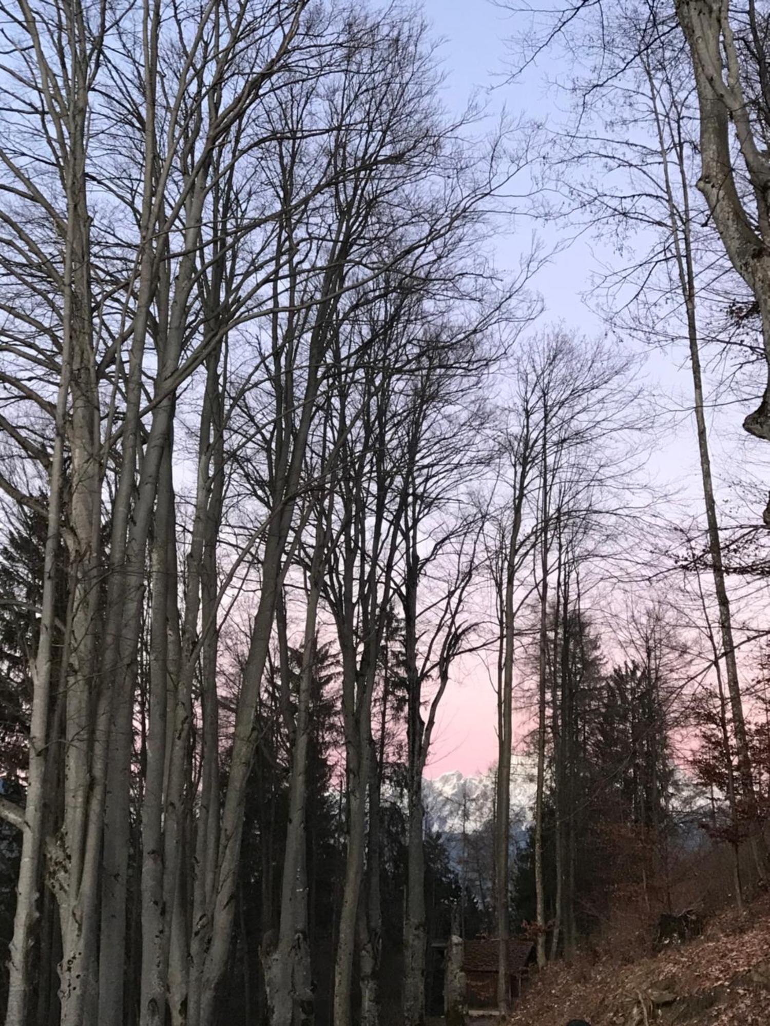 Lioda Living Pieve di Cadore Room photo